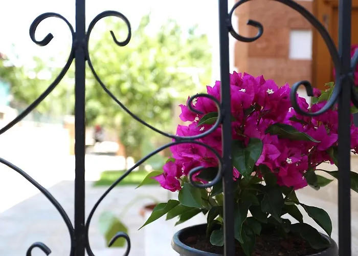 Lägenhet Limon Apart