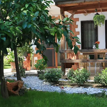 Limon Apart Apartamento