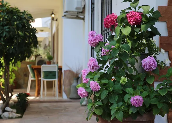 Limon Apart 아키아카